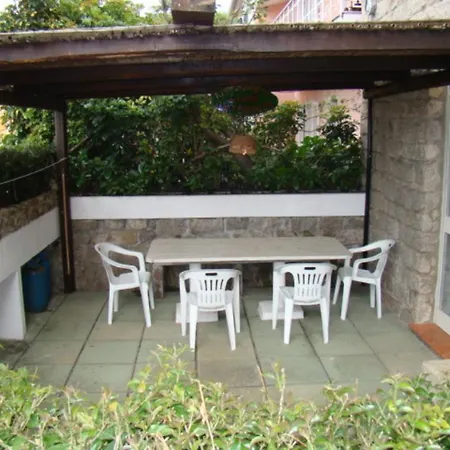 Flat Apartment